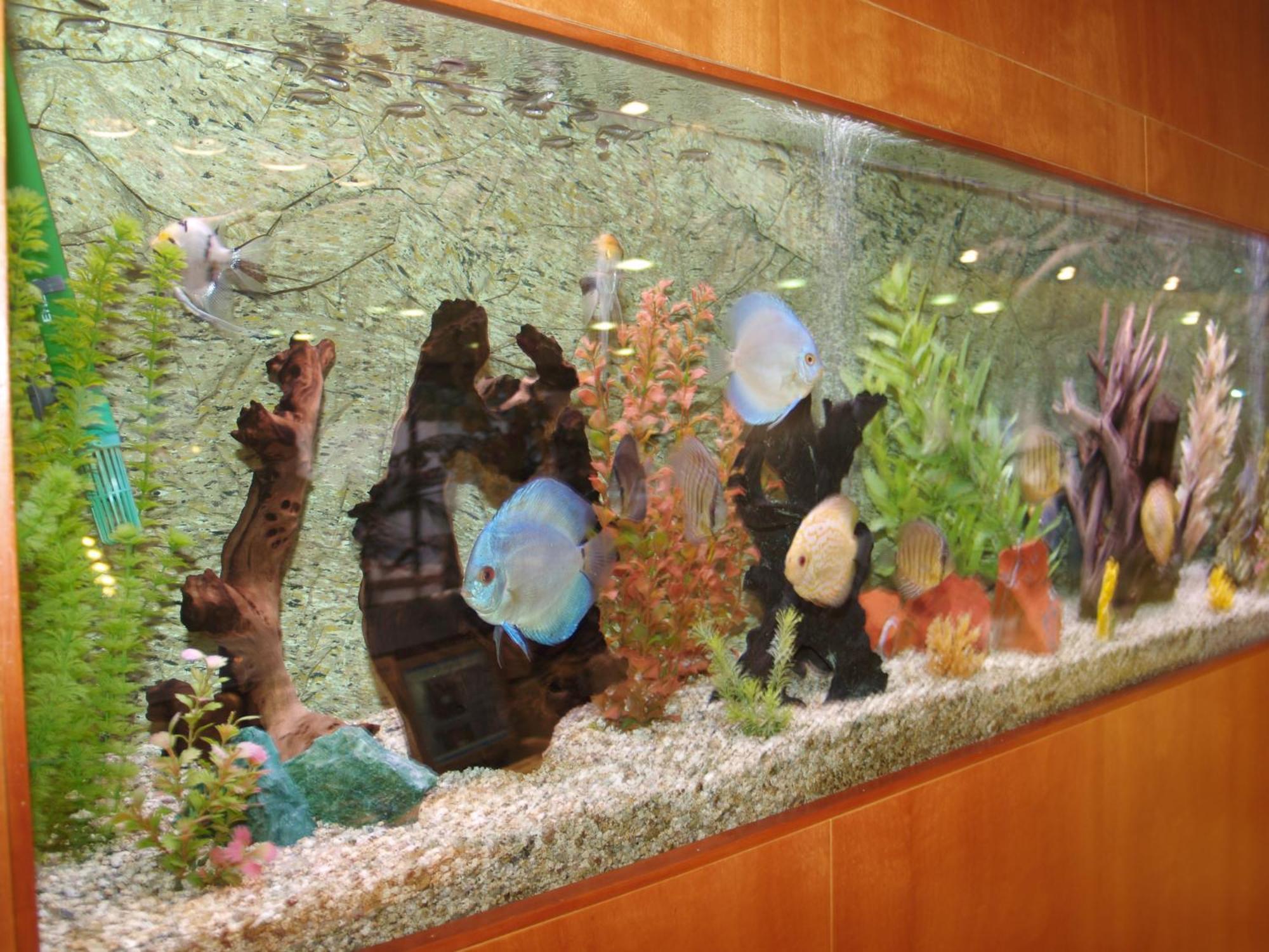Hotel Montemar Maritim Санта-Сусанна Екстер'єр фото